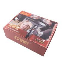 سشوار حرفهای GW 3000w مدل X8