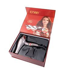 سشوار حرفهای GW 3000w مدل X8